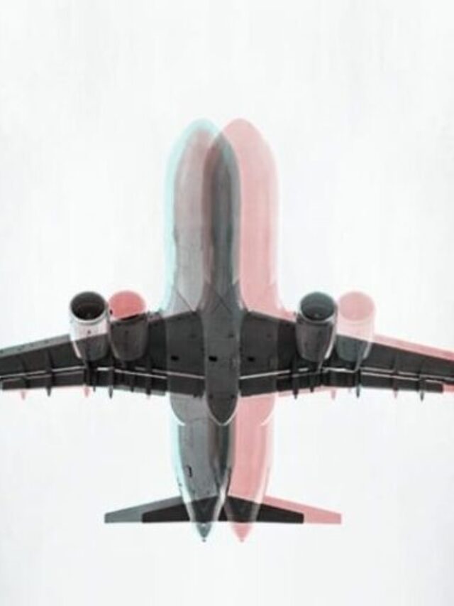 Fly Express Courier Service