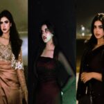 Pakistani TikToker Alina Amir New Viral Video: Alina Amir urges Maryam Nawaz to act against This