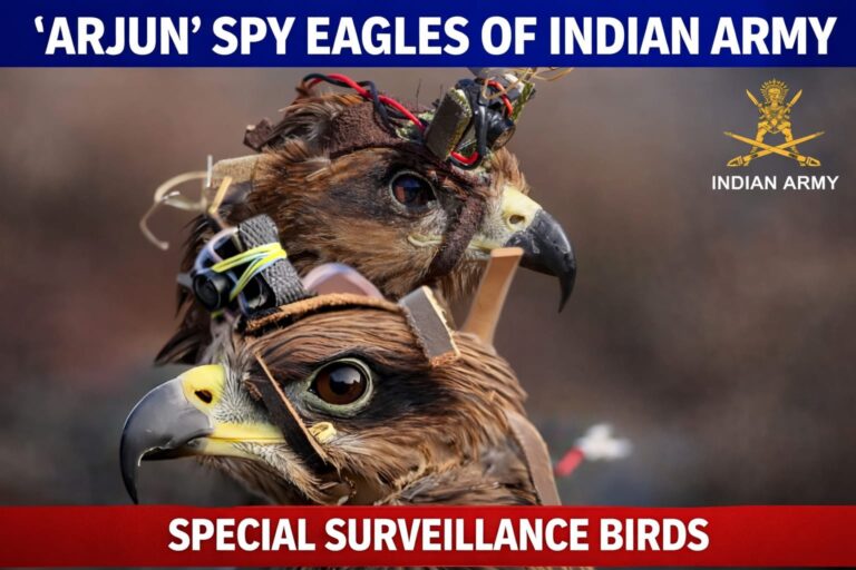 ARJUN Spy Eagles of Indian Army: Birds Trained to Destroy Enemy Drones