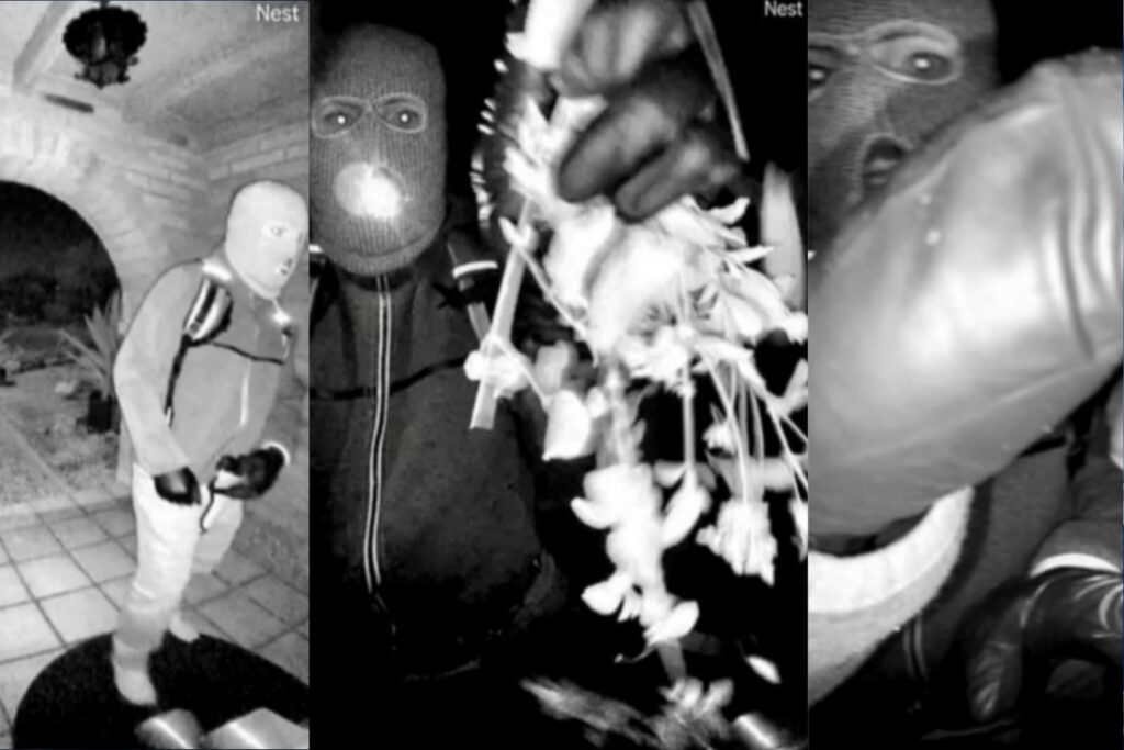 Who Is Jaelin Kauf? Age, Background & Jaelin Kauf Olympics 2026 Silver Medal Journey